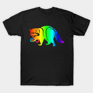 Raccoon Autism Acceptance T-Shirt